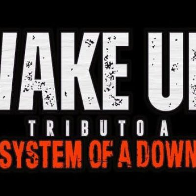 Logo WakeUp!